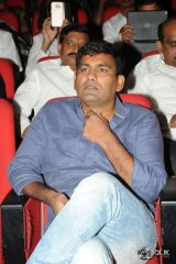 Bengal Tiger Movie Audio Launch